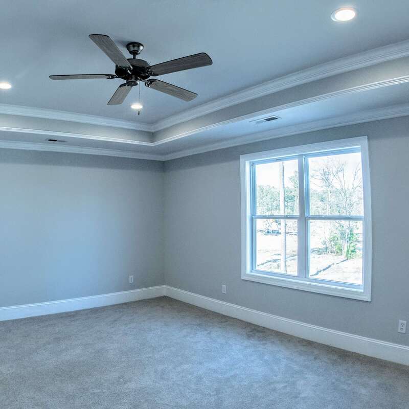 bedroom with double window, trayed ceiling, ceiling fan, and carpet